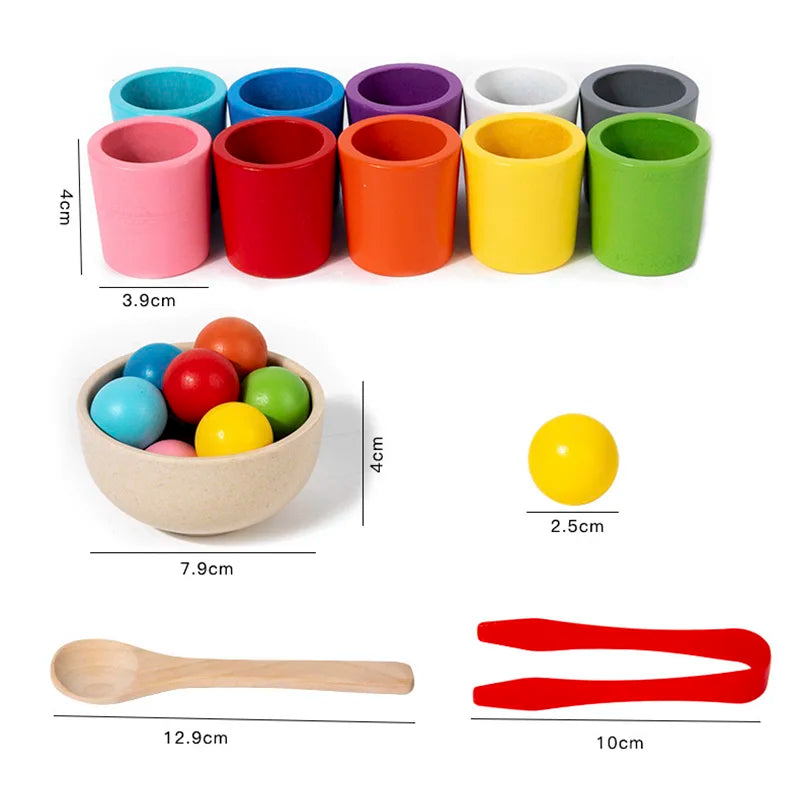 Montessori Wooden Colour Sorting Cups
