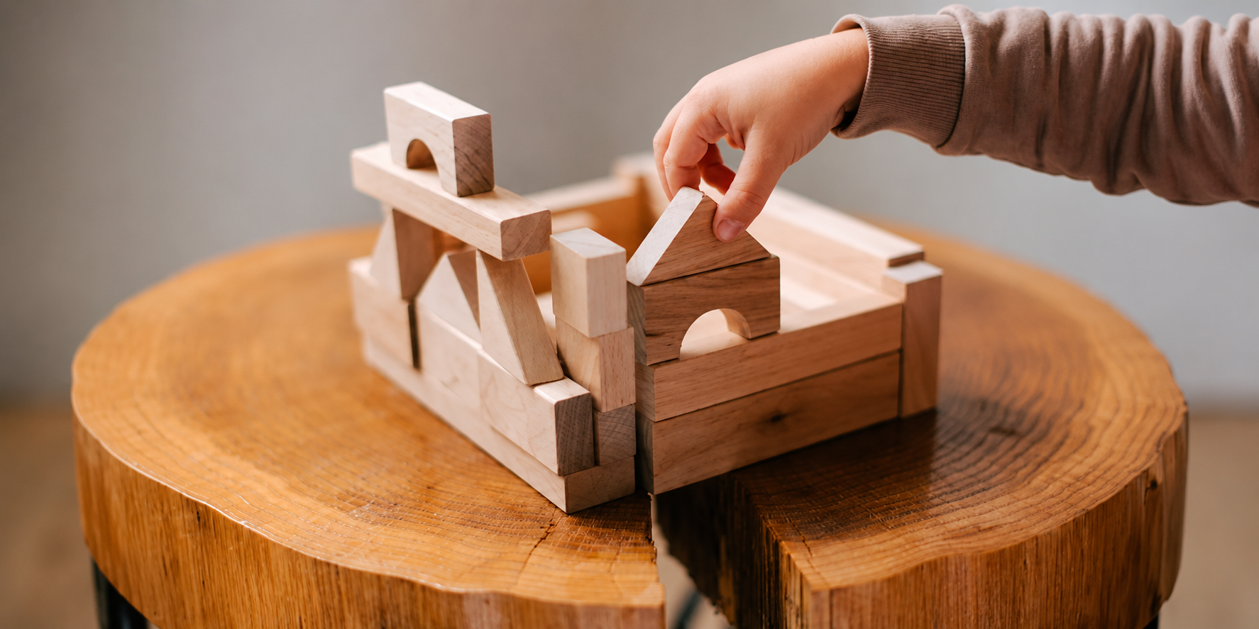 Banner Tinyminds.png__PID:c323a385-112e-4495-b5cf-2cc420b3a8b8