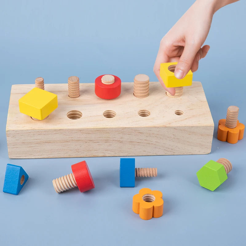 Montessori Nuts & Bolts Screw Board