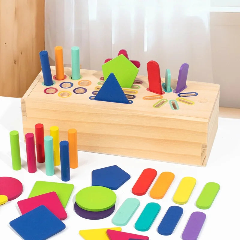 Montessori Geometric Solids Set