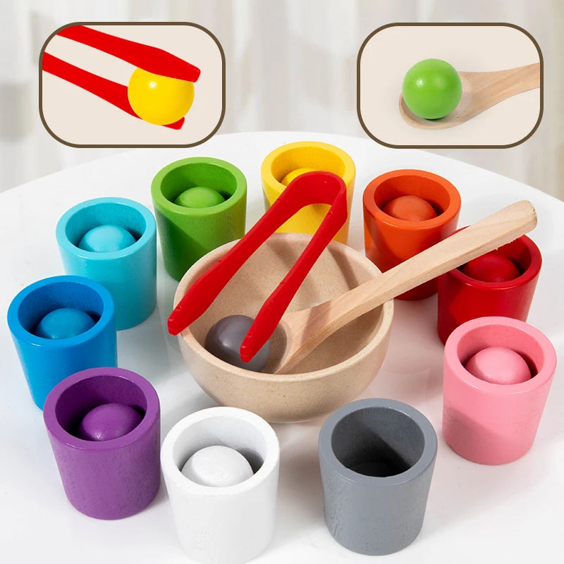 Montessori Wooden Colour Sorting Cups
