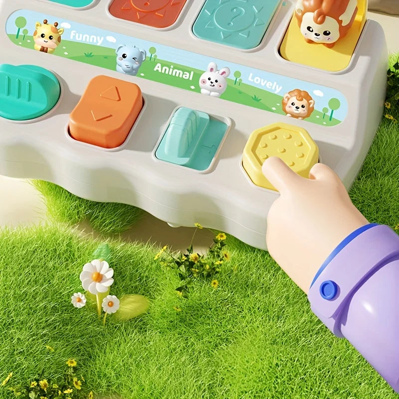 Montessori Pop-Up Animal Box