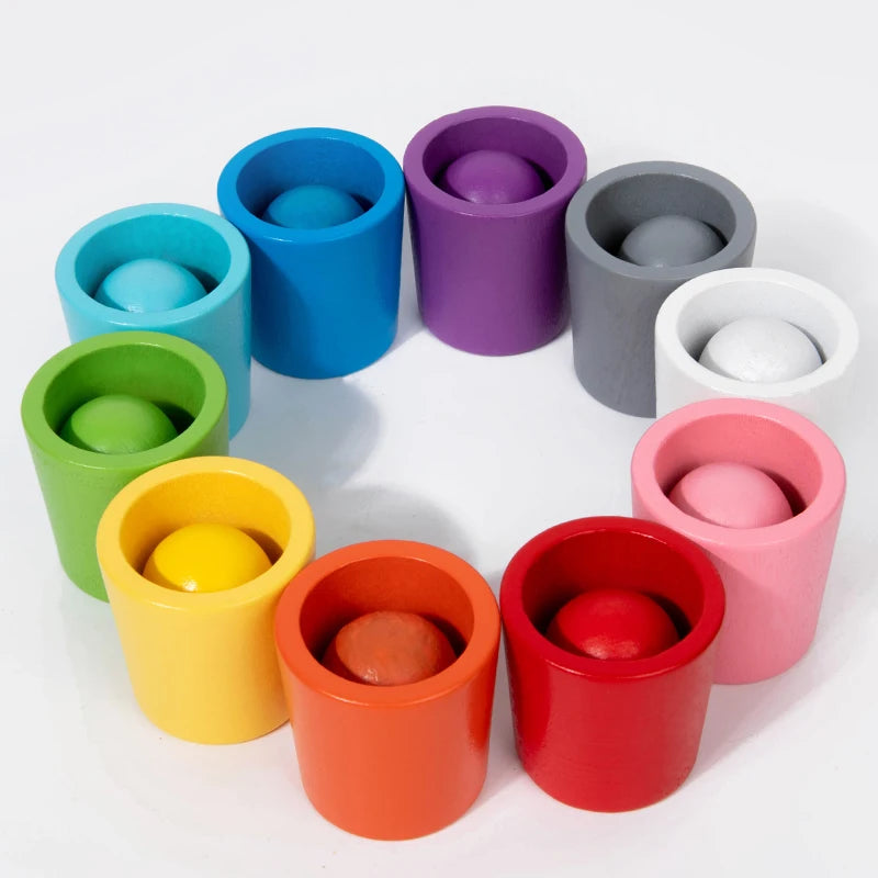 Montessori Wooden Colour Sorting Cups