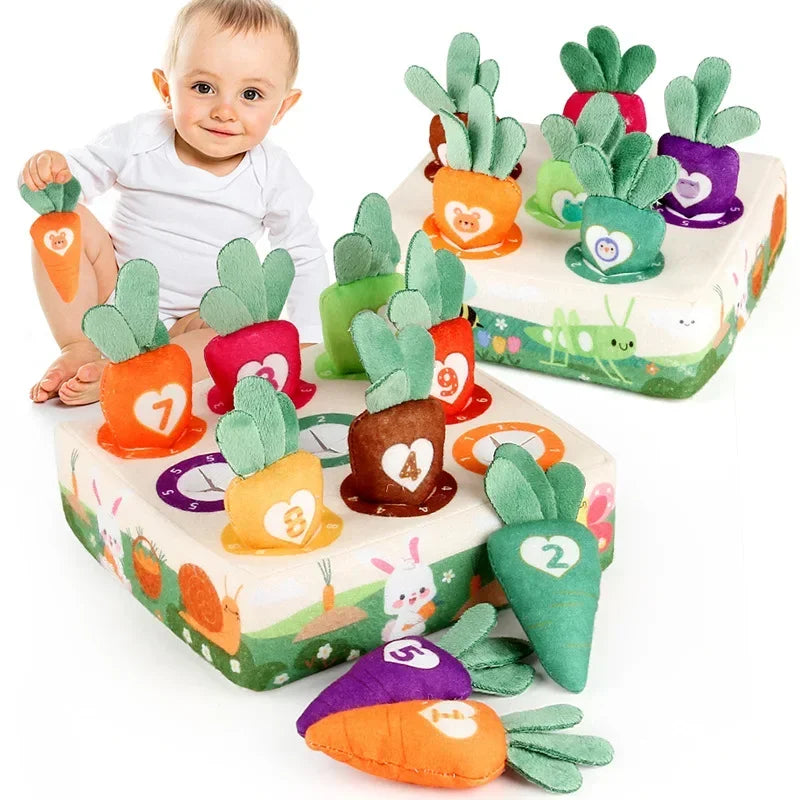 Montessori Carrot Harvest Matching Game