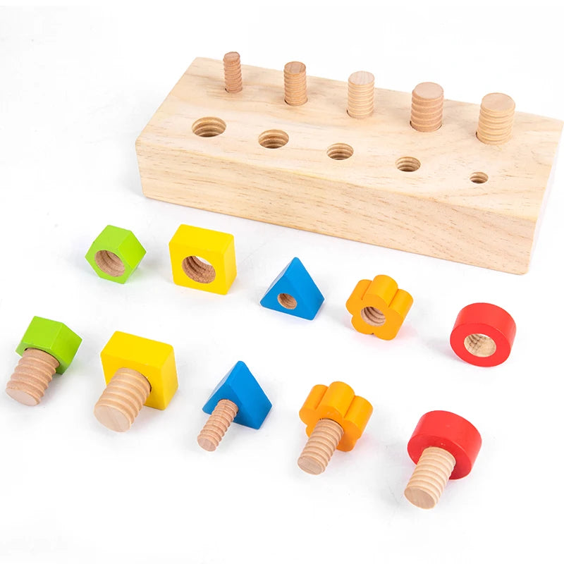 Montessori Nuts & Bolts Screw Board