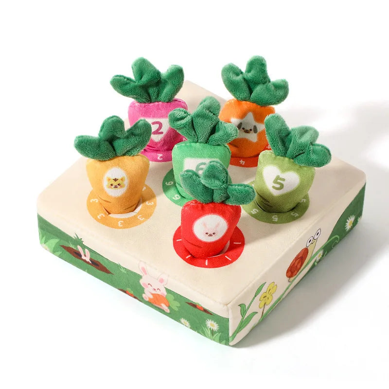 Baby Pull-Carrot Tissue Box Toy