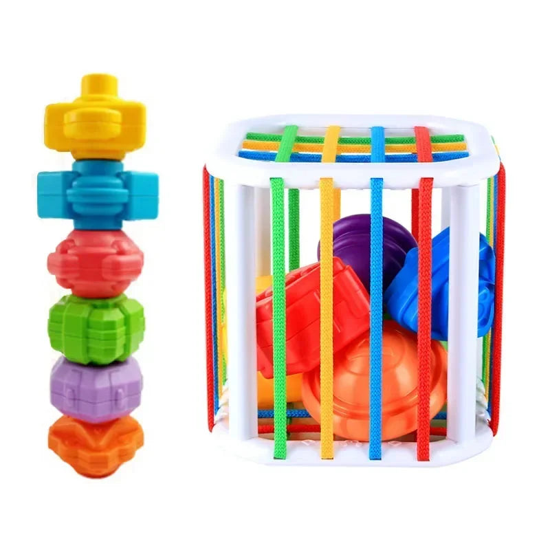 Montessori Sensory Sorting Blocks
