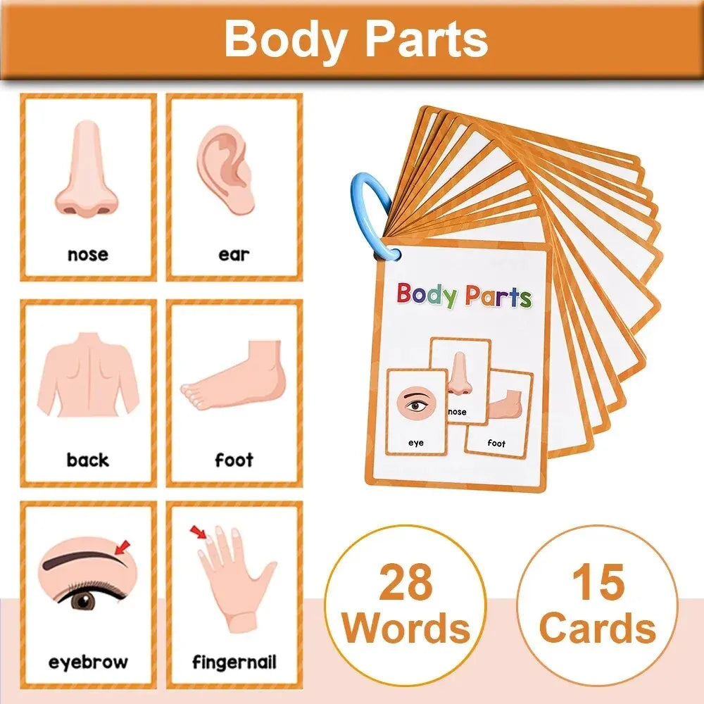 Montessori Themed Word Cards