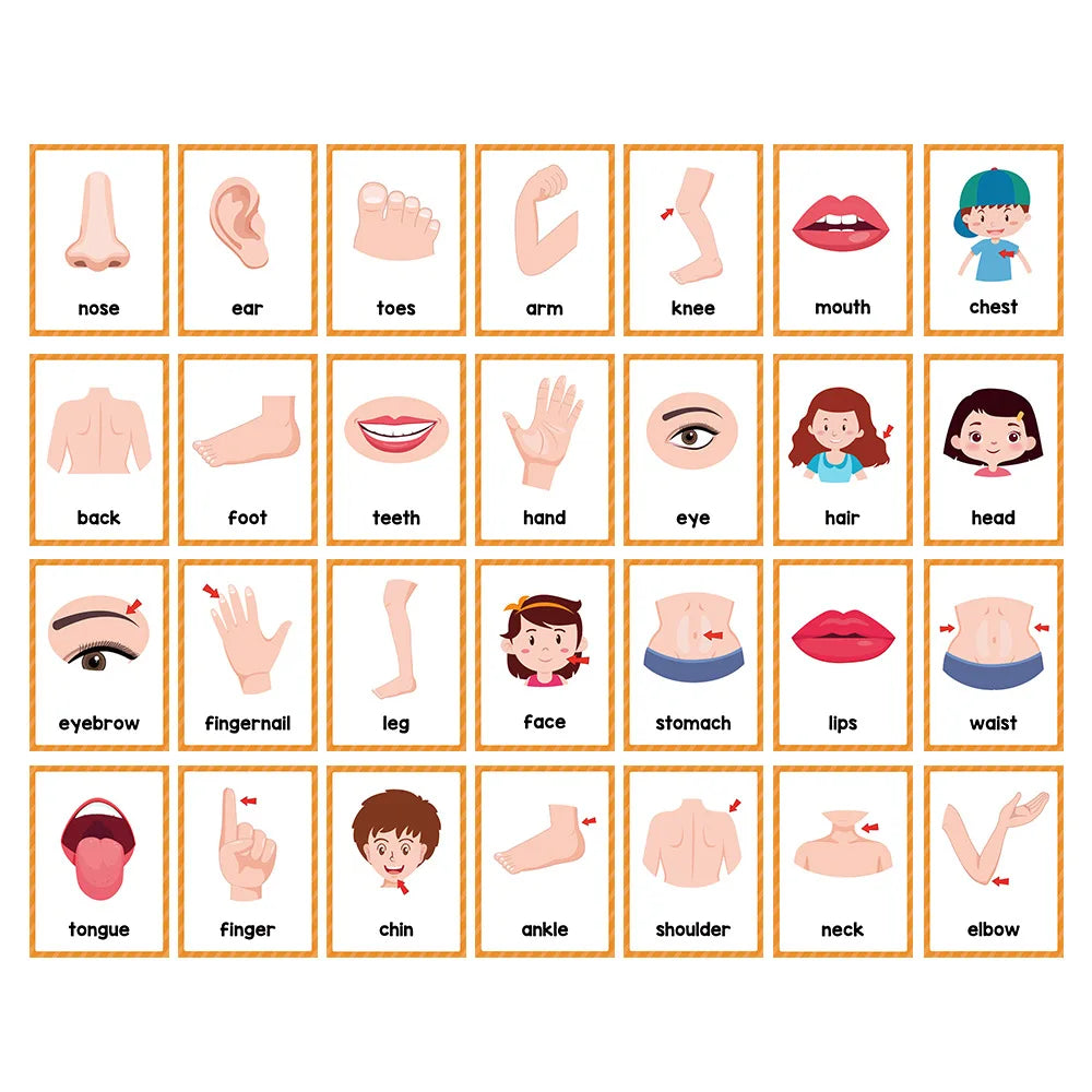 Montessori Early Vocabulary Flashcards