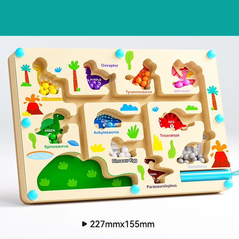 Montessori Magnetic Colour Maze