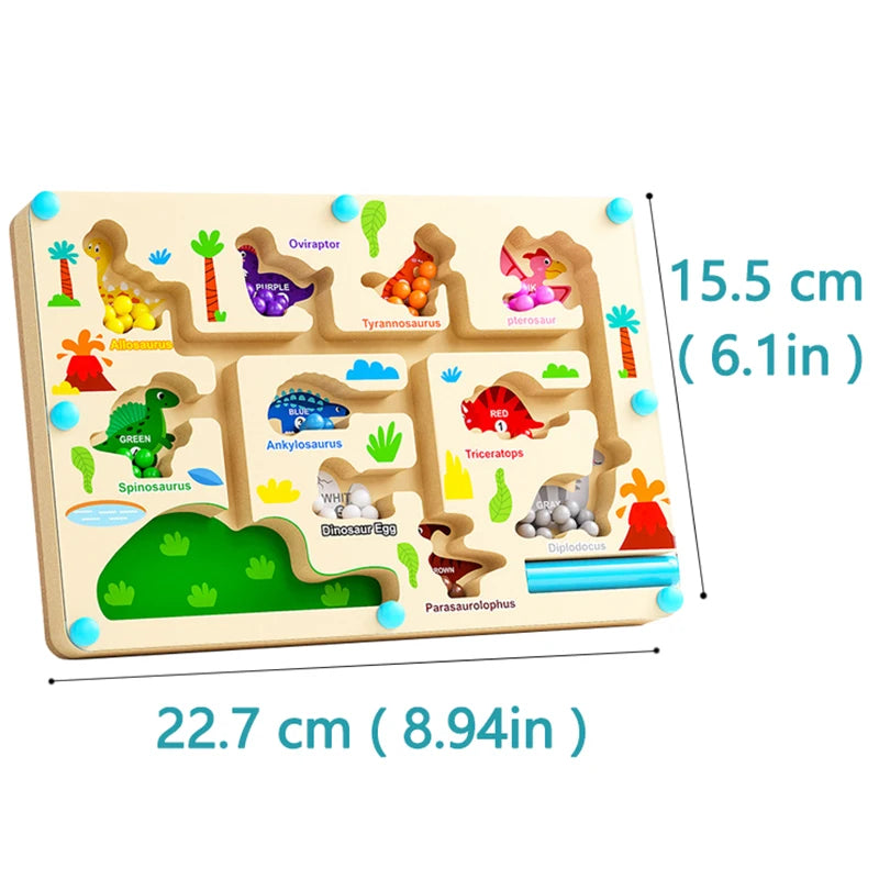 Montessori Magnetic Colour Maze