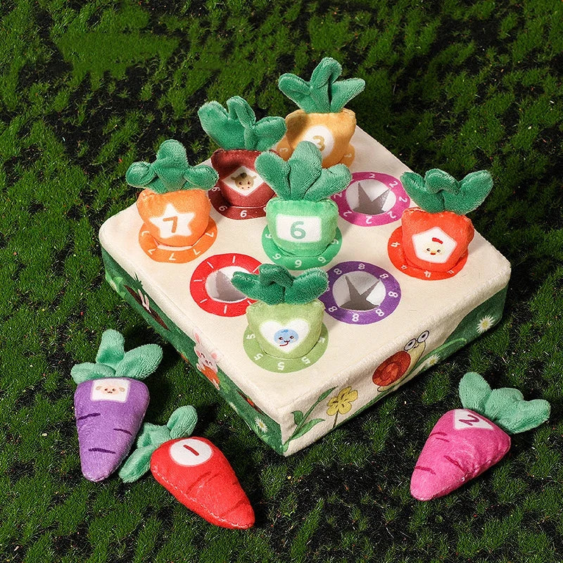 Montessori Carrot Harvest Matching Game