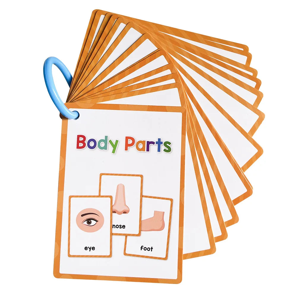 Montessori Early Vocabulary Flashcards